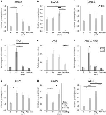 Selected Uterine Immune Events Associated With the Establishment of Pregnancy in the Dog